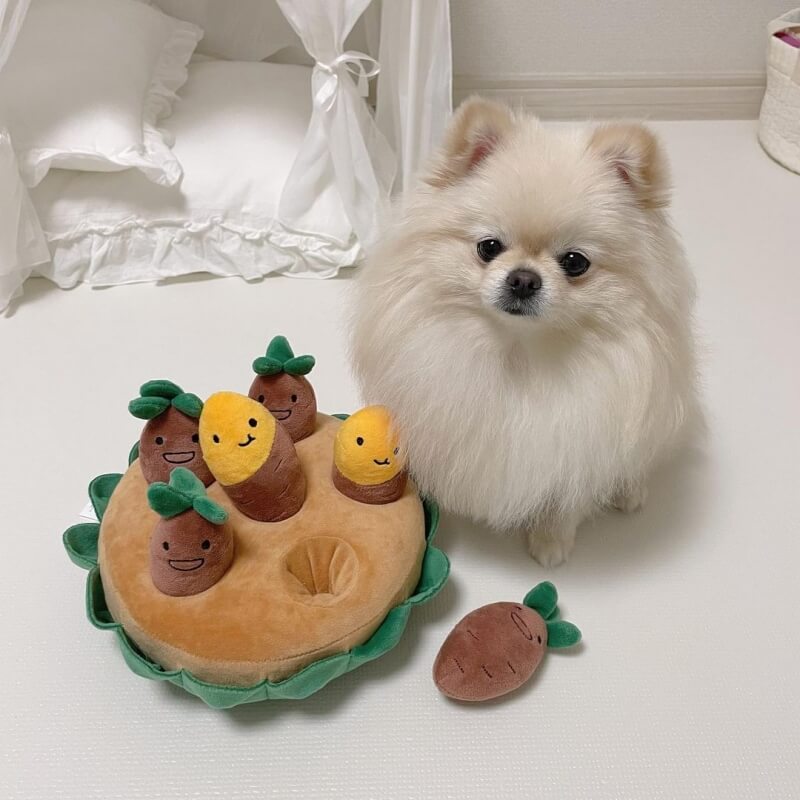 7-in-1 Sweet Potato Foraging Nosework Puzzle Dog Toy