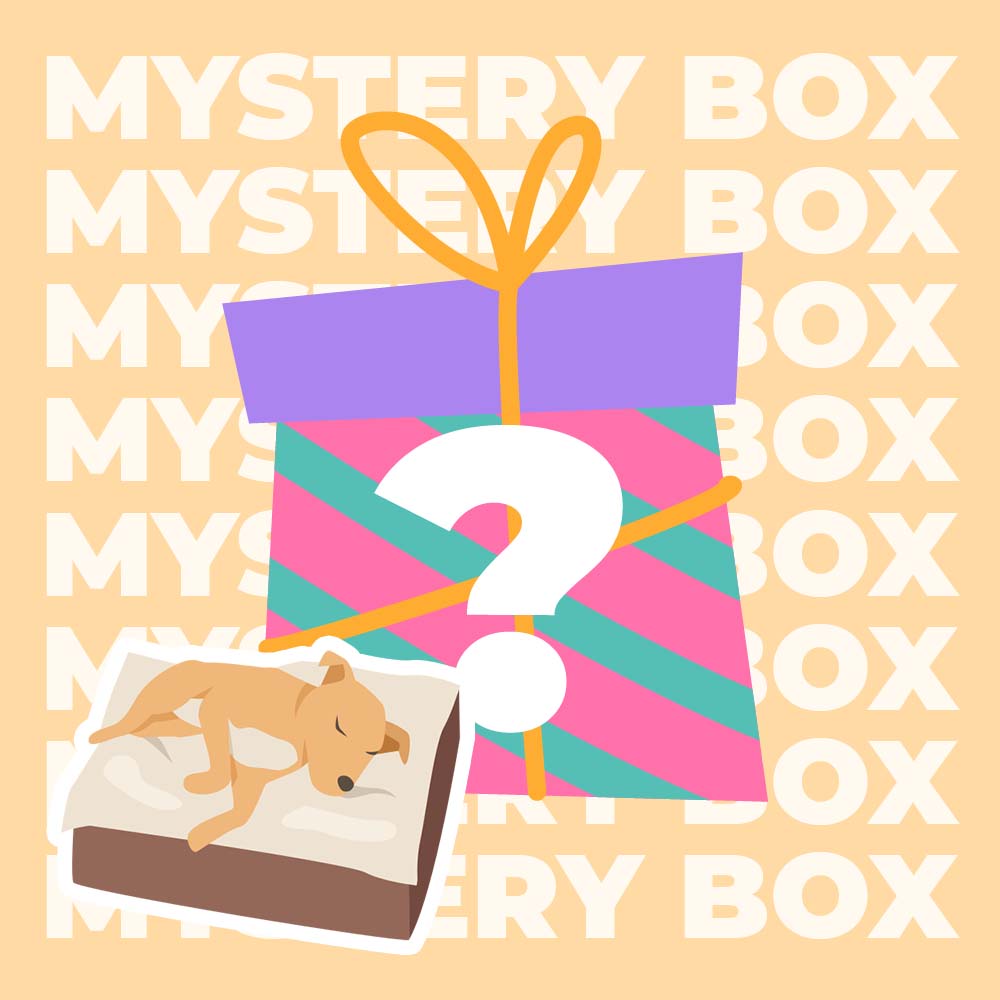 Sicheres Reiseset für Hunde bis 15 kg – 220 $ Wert-Mystery-Box
