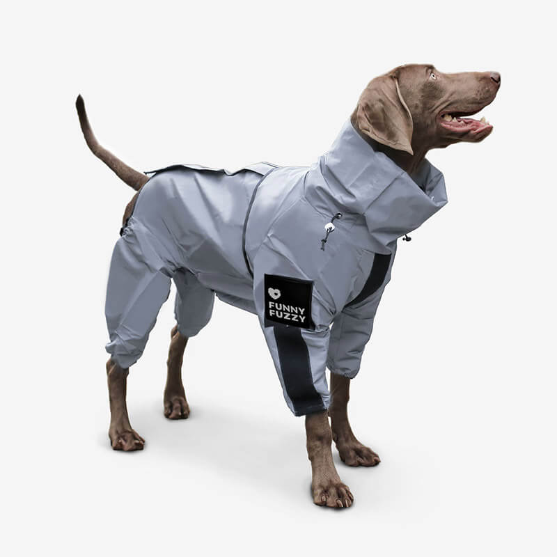 best rain gear for dogs Swag & Safe Cool Dog Accessories Walk Set, Black / XXL / XXL