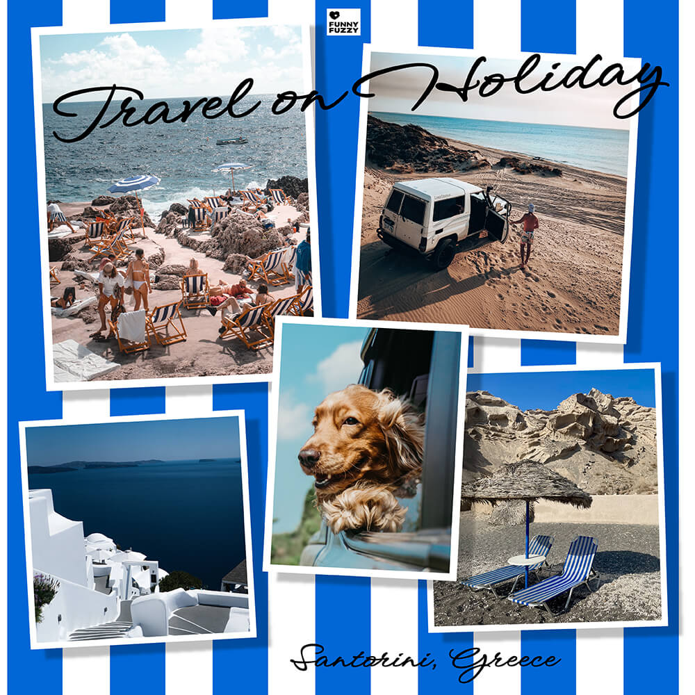 Dog Car Seat Cover- Holiday - FUNNYFUZZY