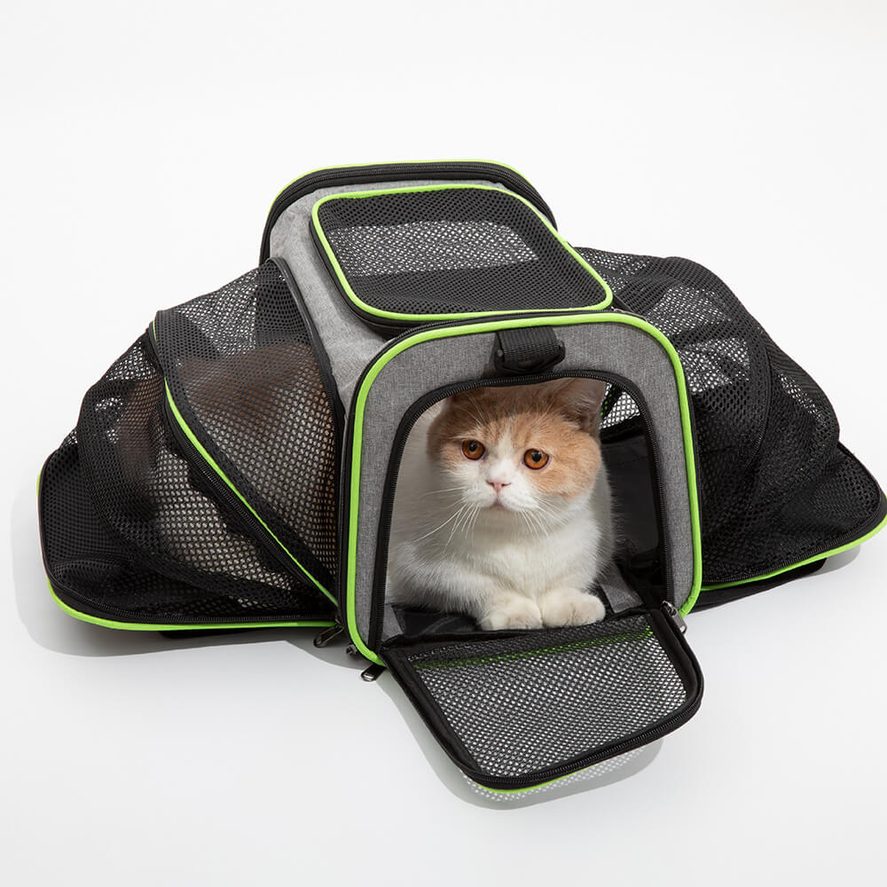 Breathable Leather Pet Carrier Handbag For Cats And Small Dogs - Portable  Travel Bag With Comfortable Shoulder Strap And Removable Fleece Bed - Temu  Malaysia