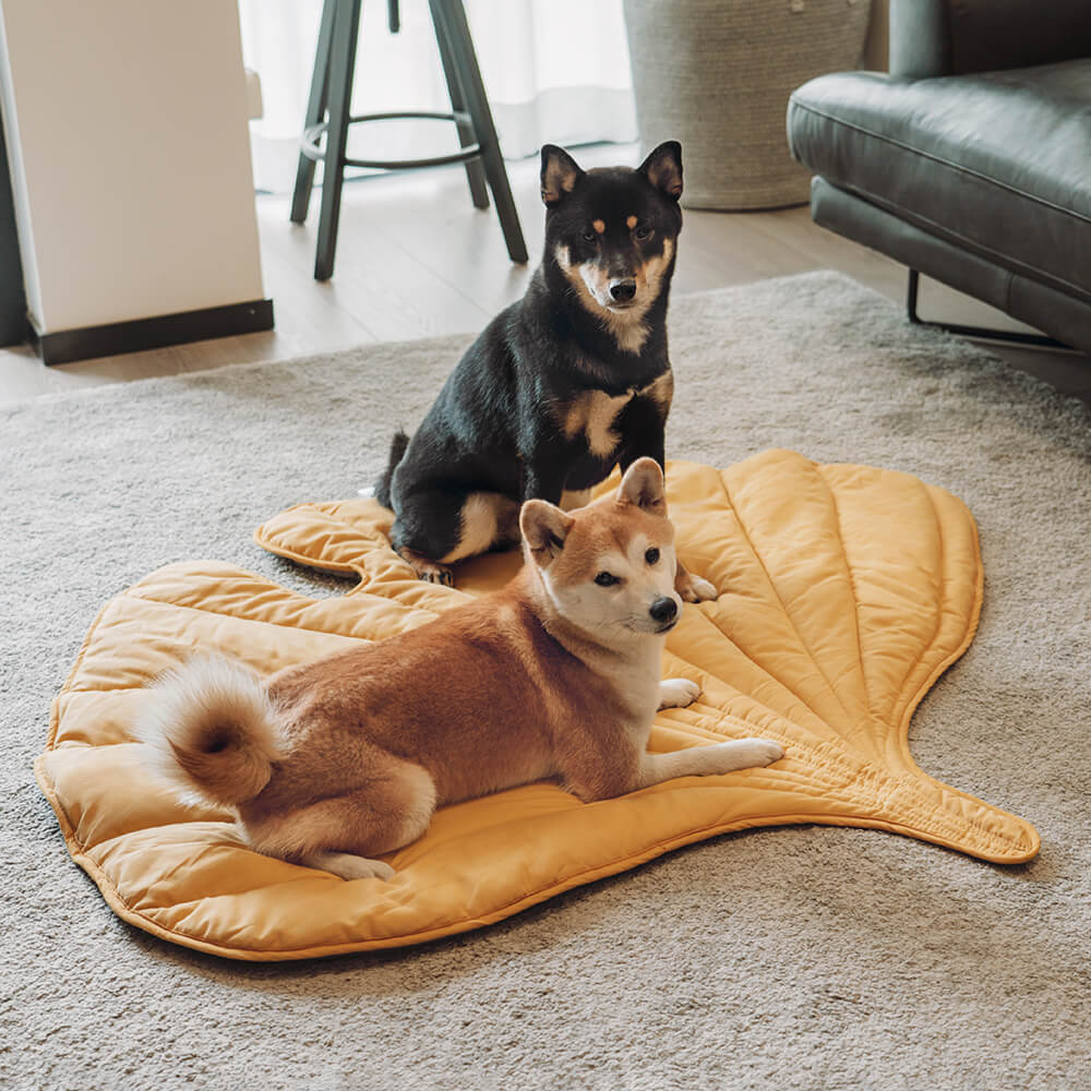 Leaf Shape Dog Blanket - FUNNYFUZZY