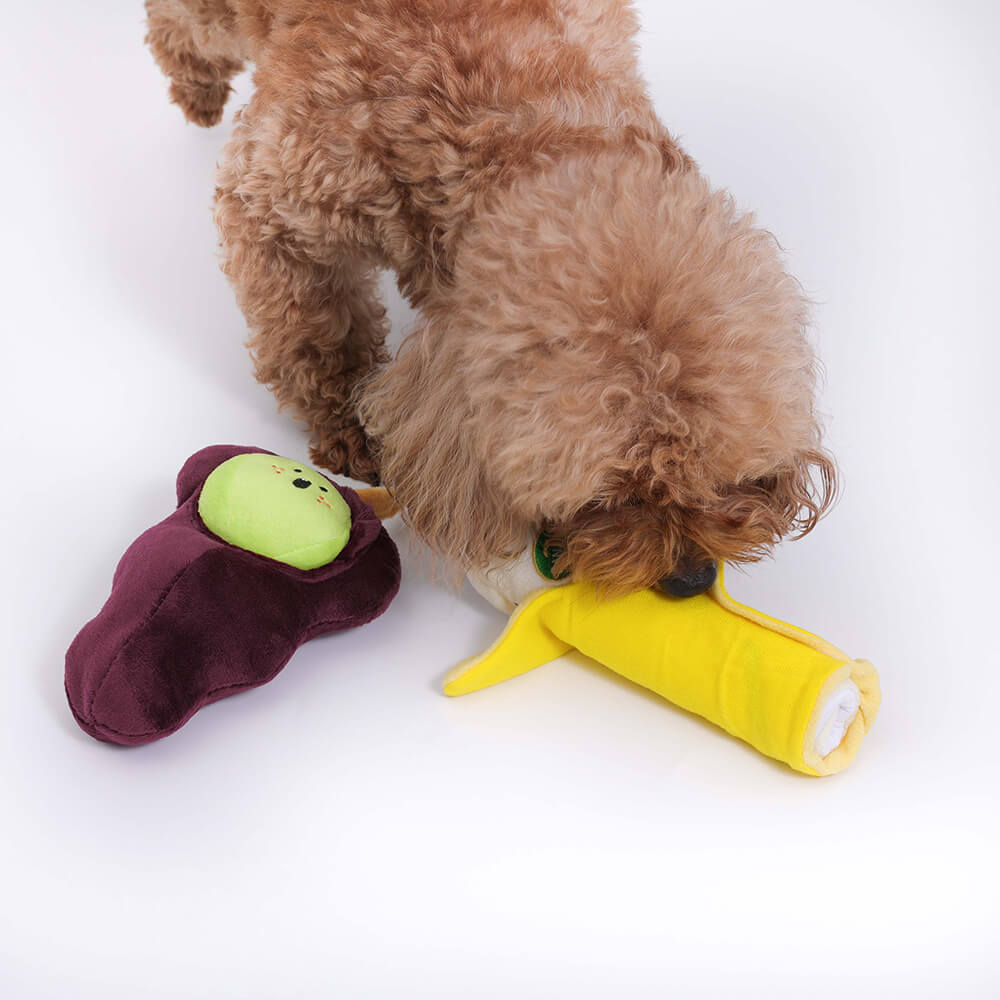 Plush Squeaky Dog Toy - Fruit - FUNNYFUZZY