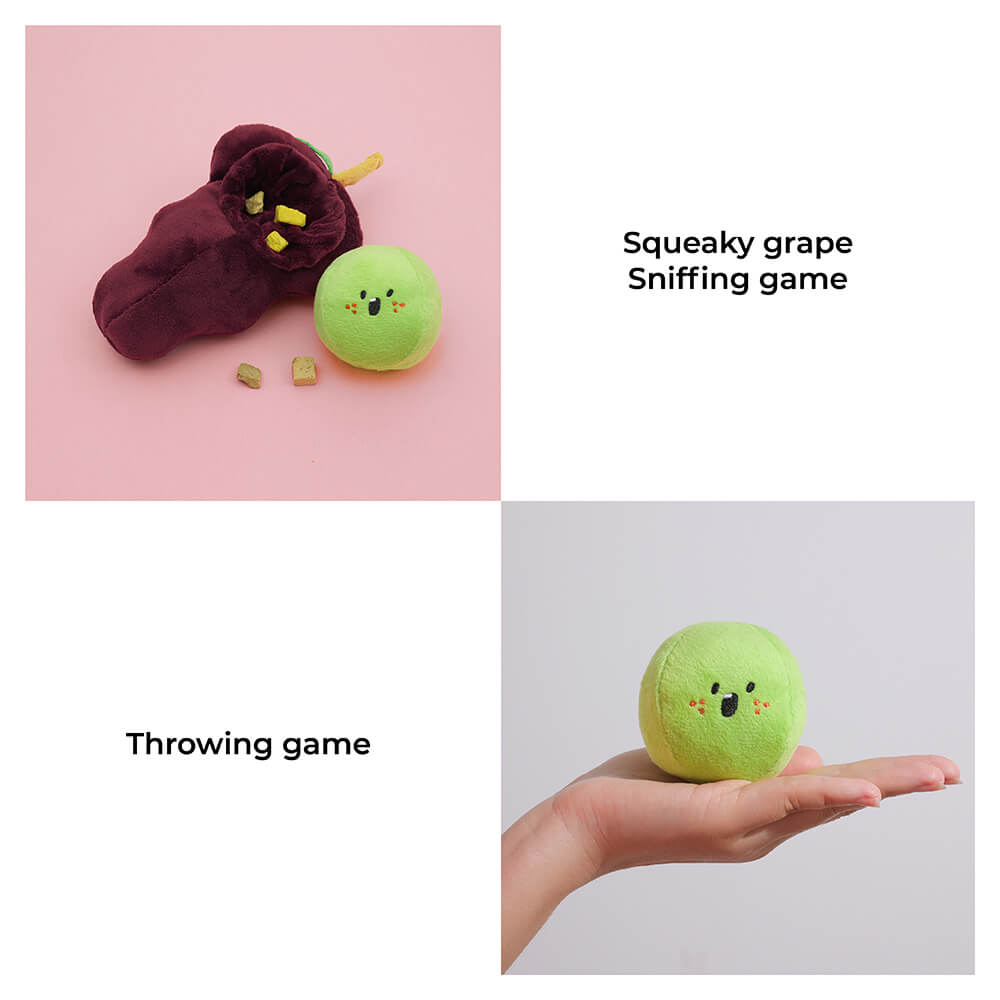Plush Squeaky Dog Toy - Fruit - FUNNYFUZZY