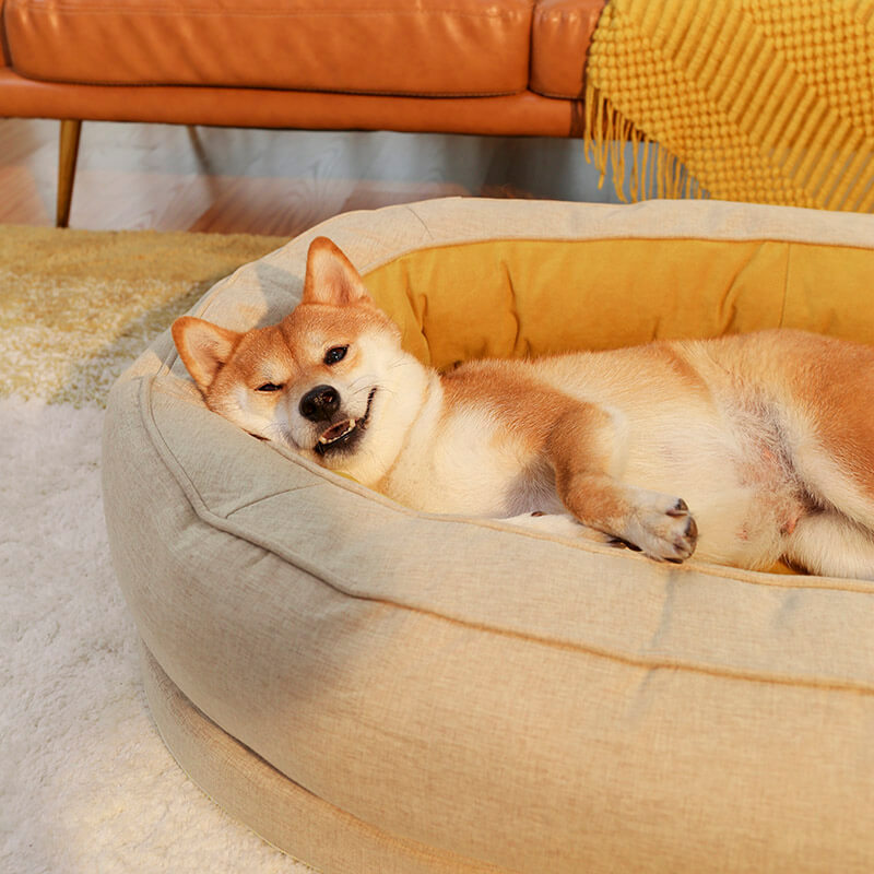 Dog Bed - Donut - FUNNYFUZZY