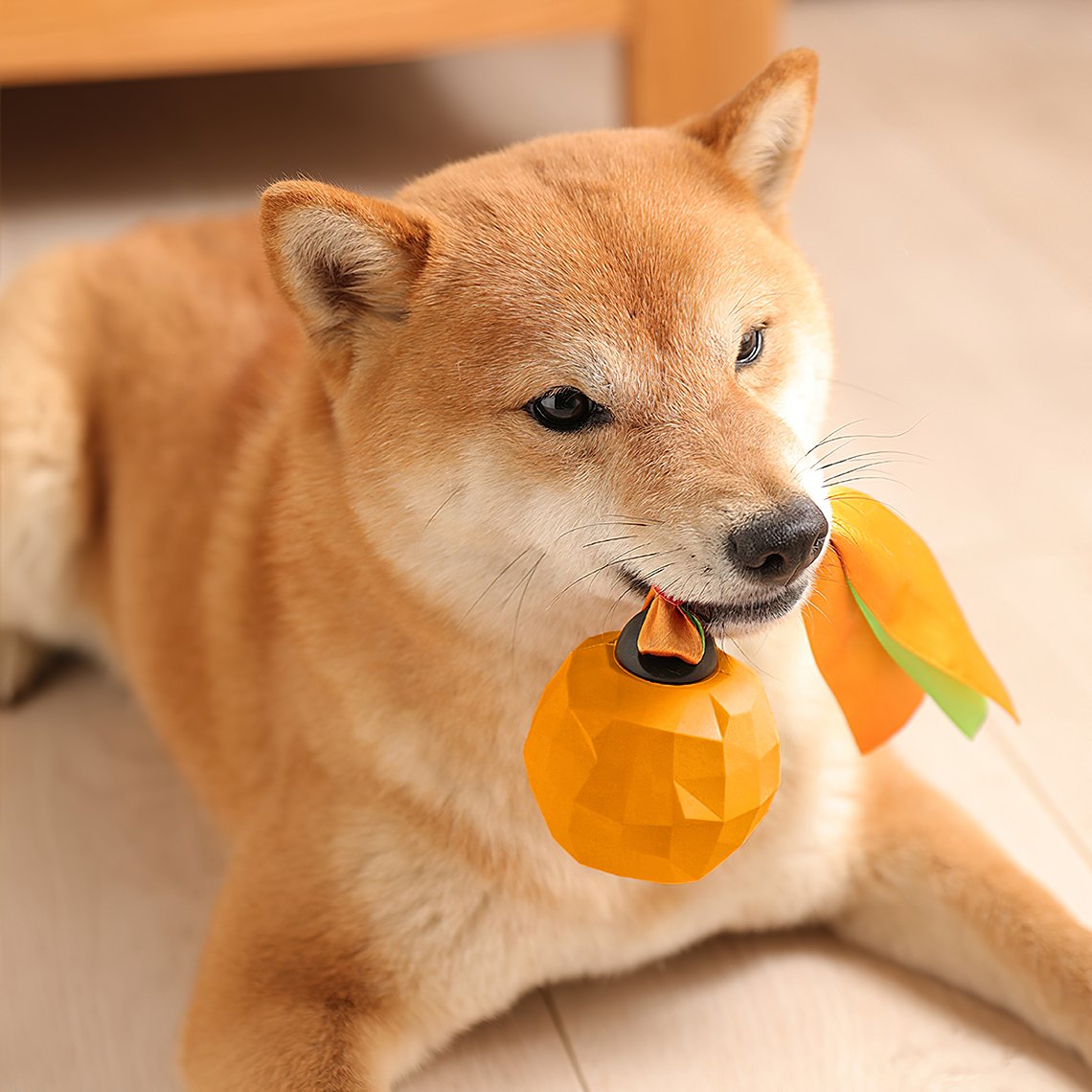 http://funnyfuzzy.com/cdn/shop/products/fruit-shaped-squeaky-chew-toy-funnyfuzzy-726190.jpg?v=1701153238