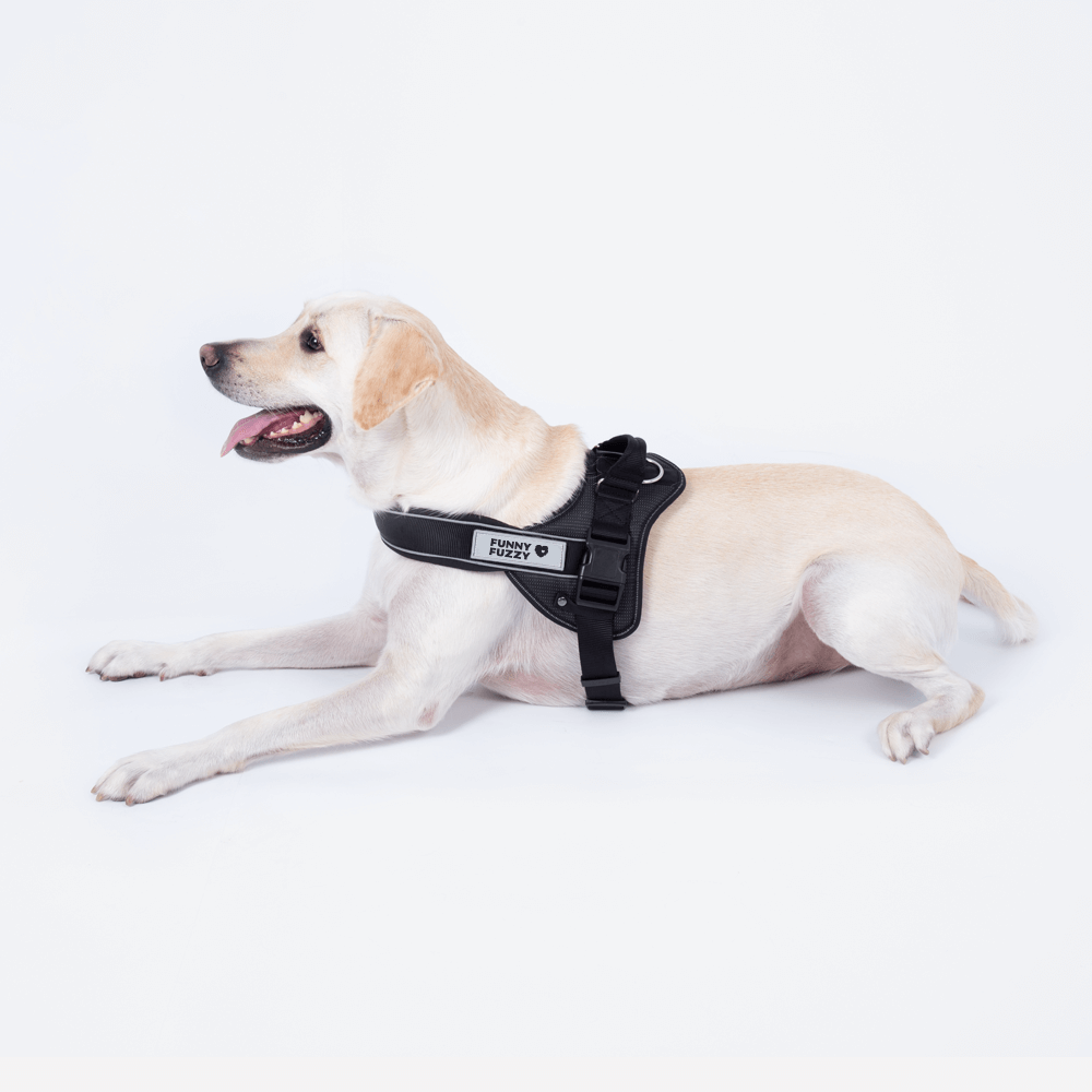 Easy-to-wear Dog Harness丨Anti Pull Large Dog Harness For Trunk with Handle - FUNNYFUZZY