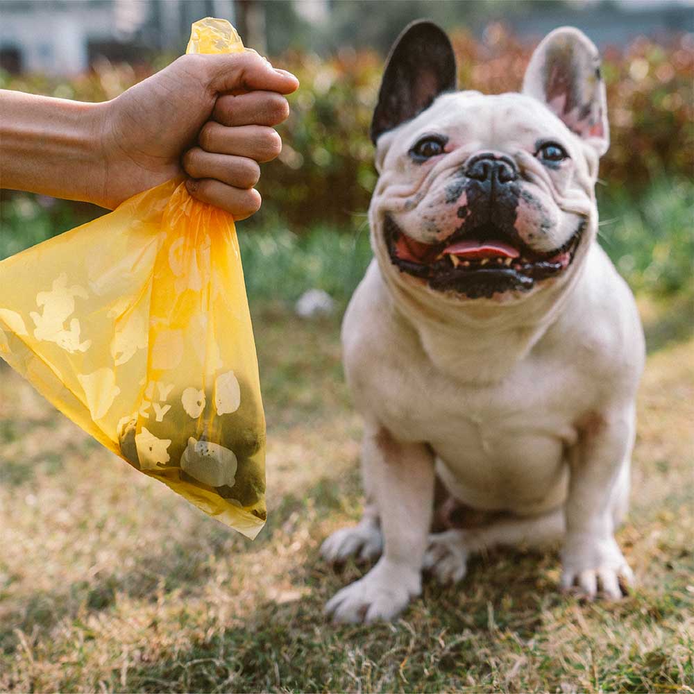 FUNNYFUZZY Poop Bags – Eco-Friendly, Leakproof & Lemon-Scented for Easy ...