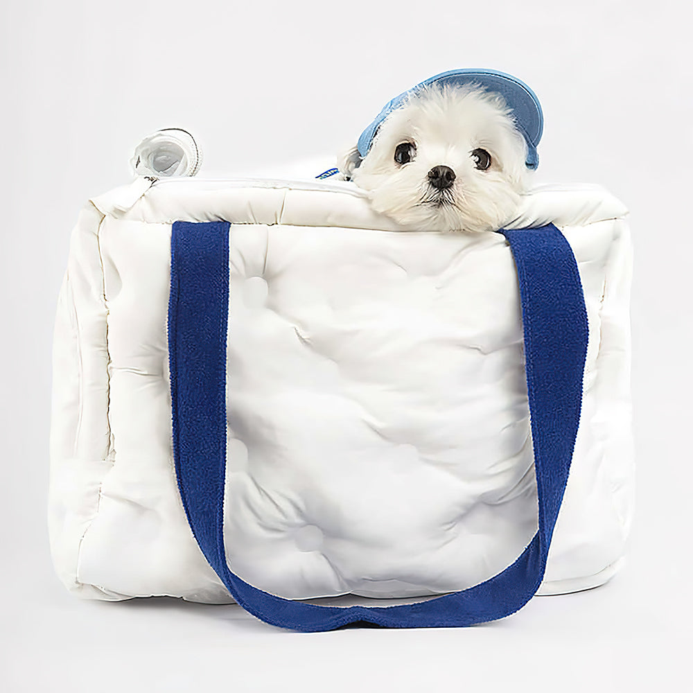 How To Choose a Good Pet Carrier Bag
