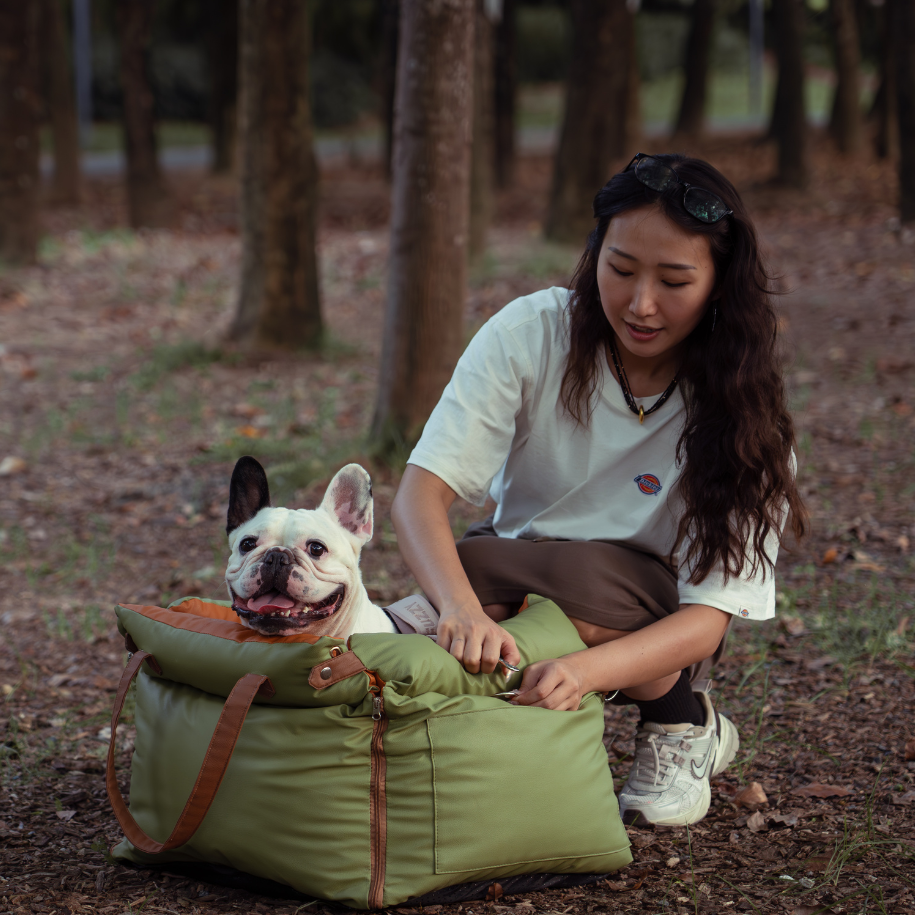 Our Best and Tested Gear for Camping with Dogs