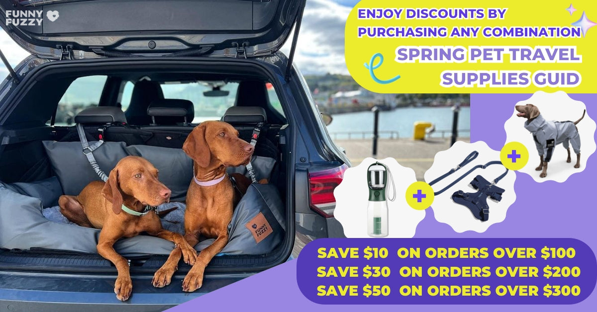 Spring Travel Accessories for Pets