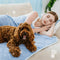 Double-Sided Cooling Dog Blanket - Chill Nest