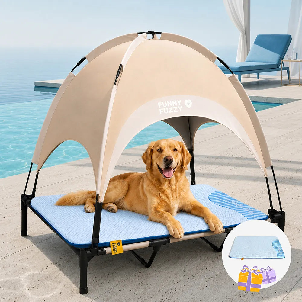 Breathable Cooling Elevated Dog Bed With Cooling Mat