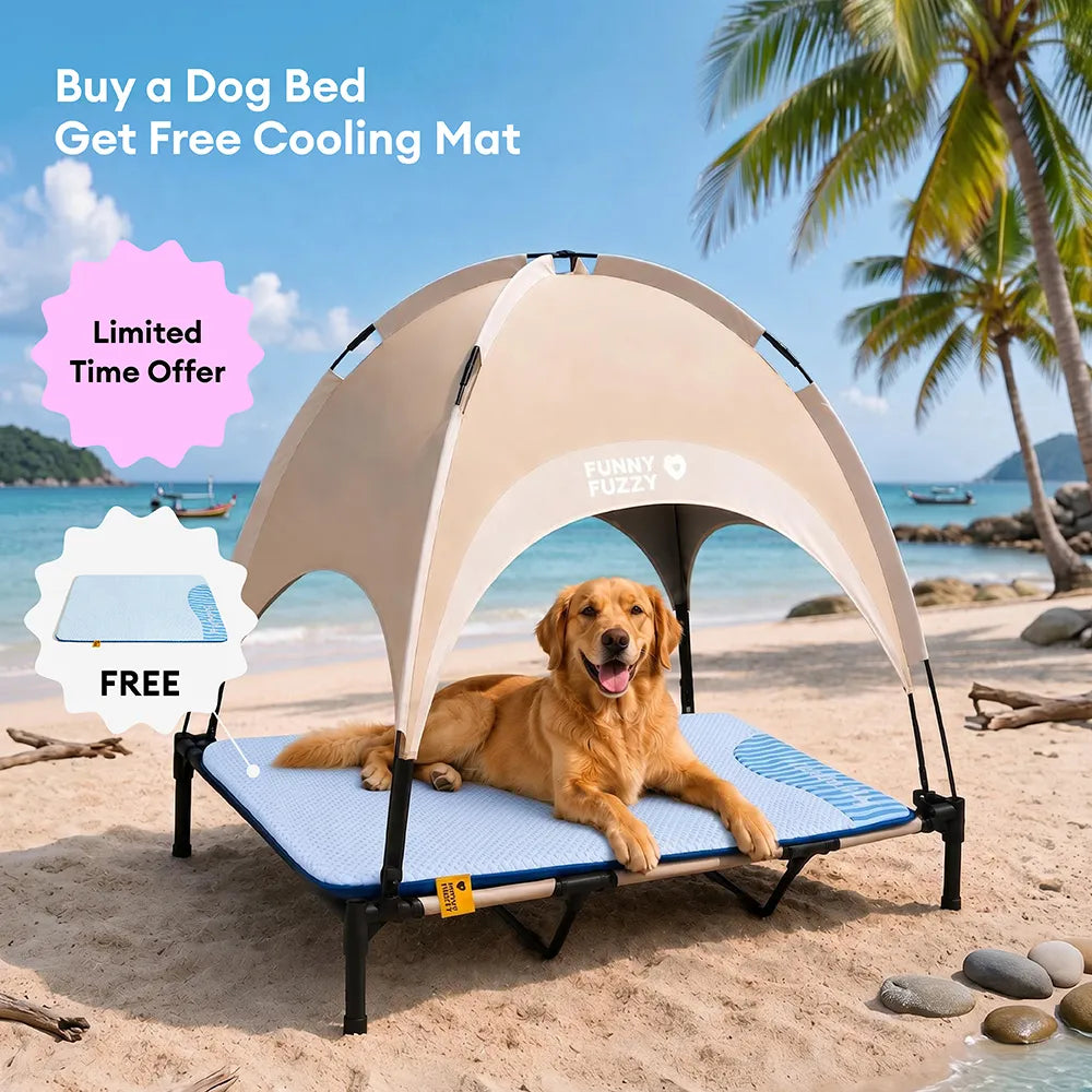 Breathable Cooling Elevated Dog Bed With Cooling Mat