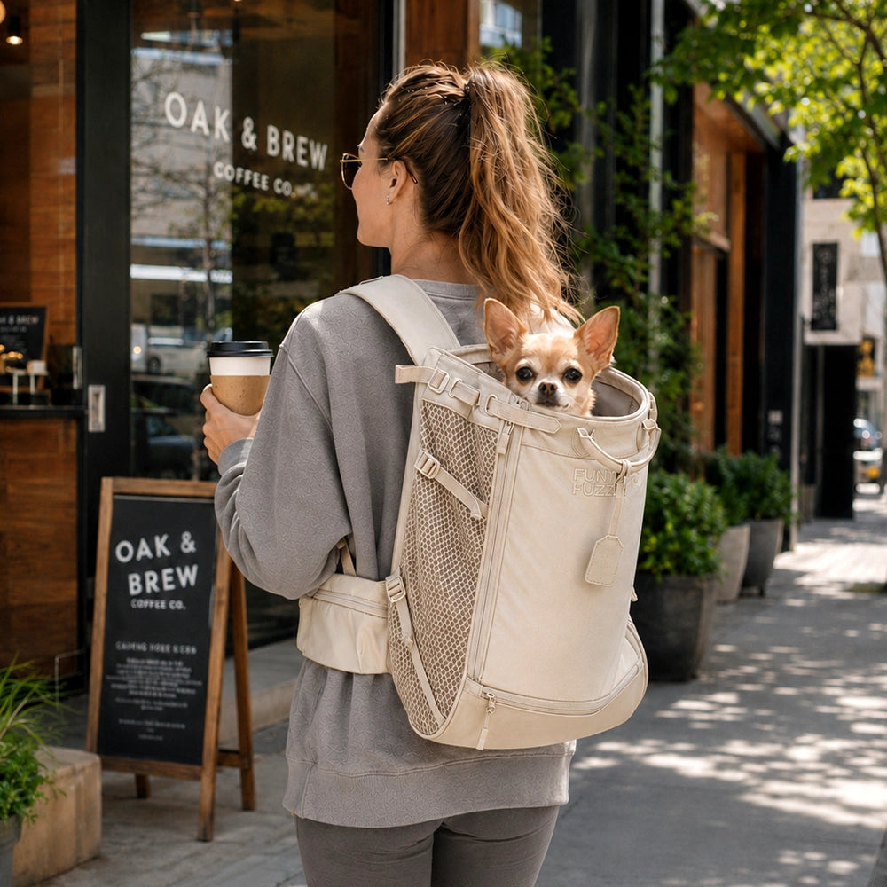 Dog Carrier Backpacks Dog Rucksack Dog Bike Carrier  - Urban Roaming