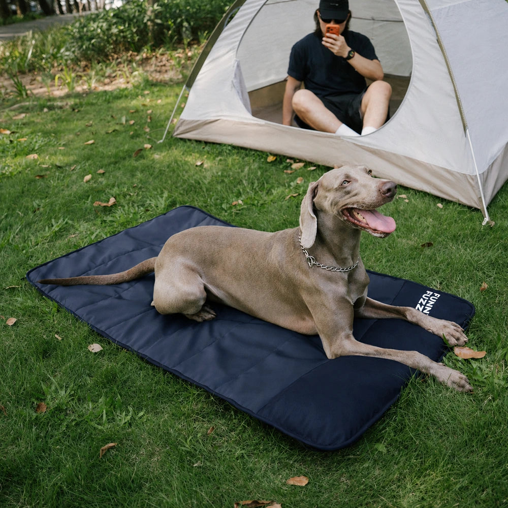 Portable Waterproof Dog Mat-Urban Roaming