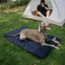 Portable Waterproof Dog Mat-Urban Roaming
