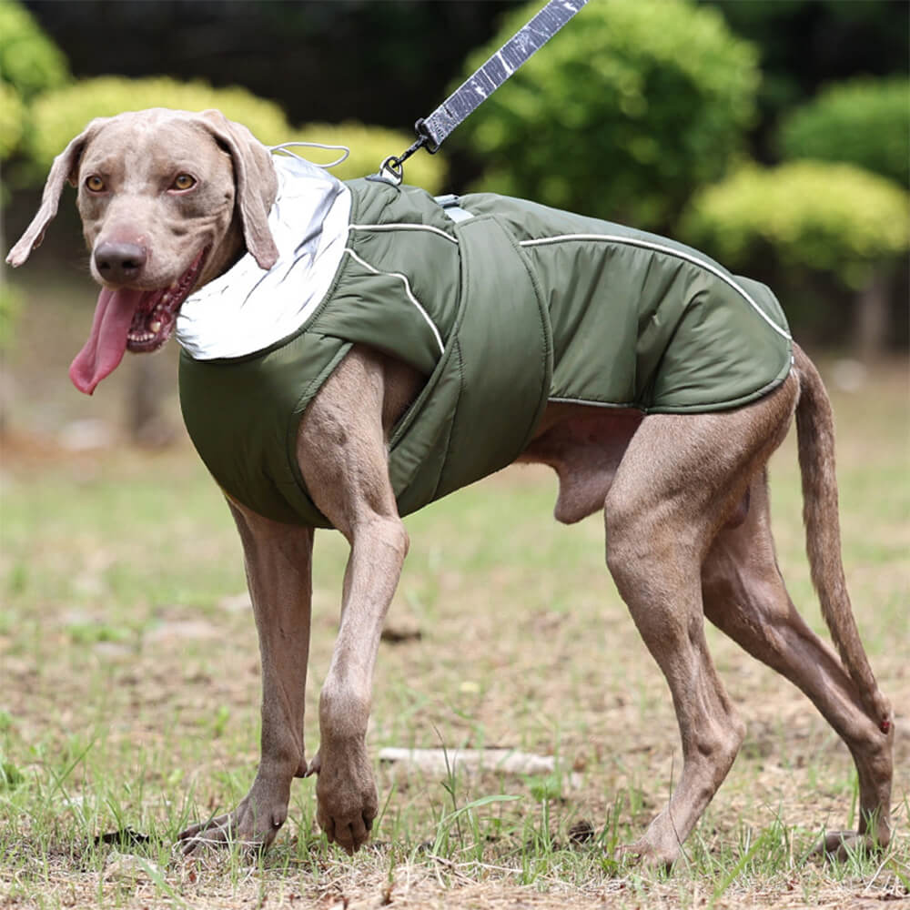 Waterproof Warm High Collar Reflective Dog Thickened Jacket