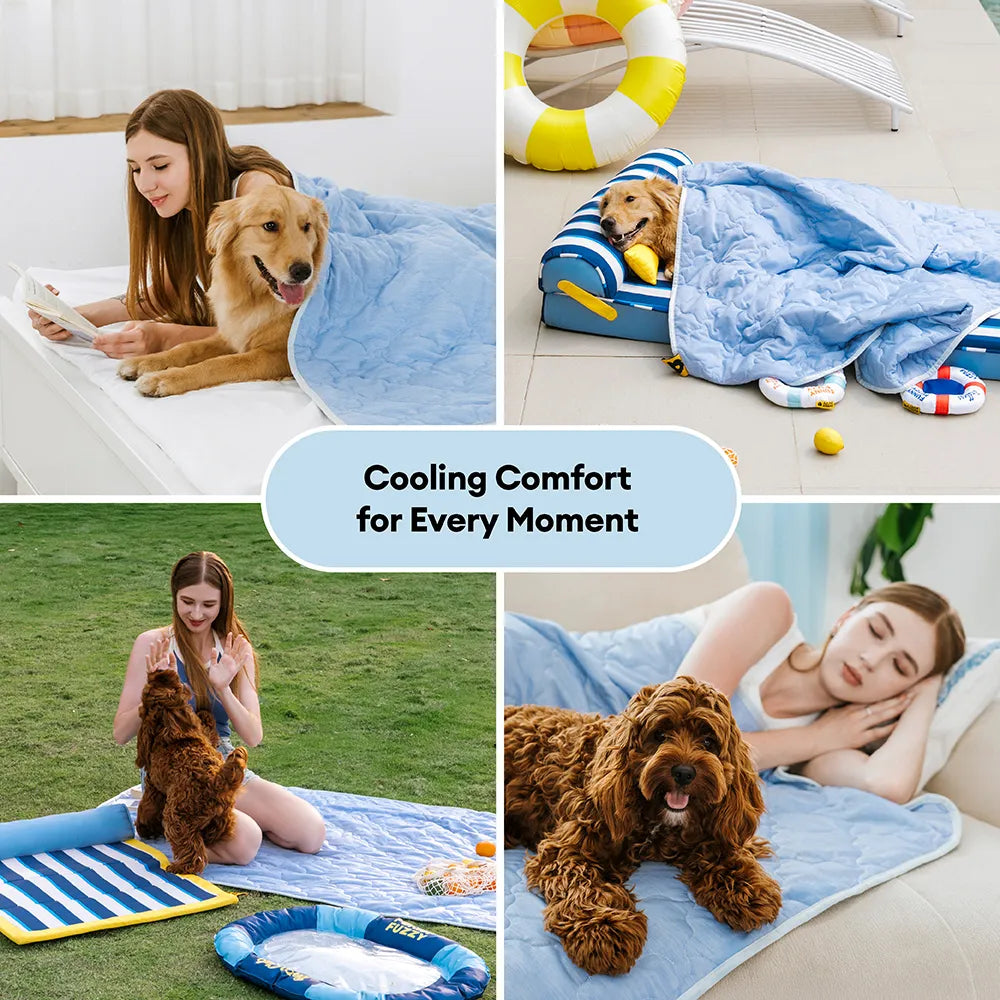 Breathable Cooling Elevated Dog Bed With Cooling Blanket