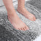 Thick Absorbent Non-Slip Quick-Dry Door Mat for Pets & Muddy Paws