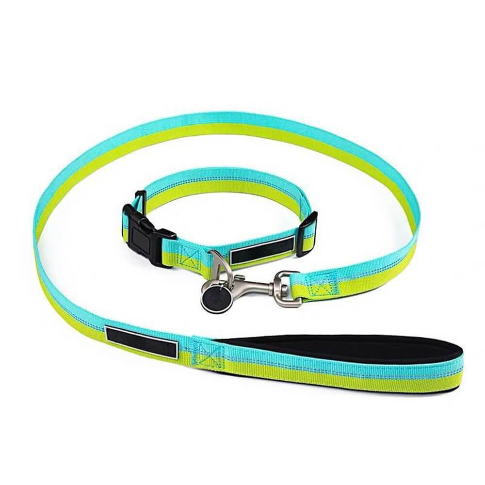 Collar colorido con correa para perros - Nylon de alta resistencia