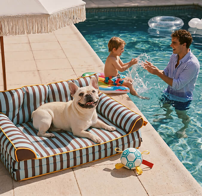 Splash Into Summer Fun