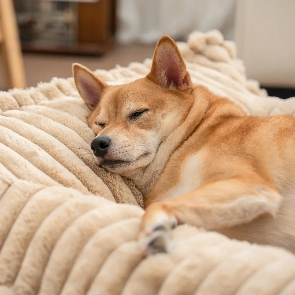 Ribbed Plush Orthopedic Bolster Dog Sofa Bed - Cozy Nest