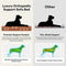 Large Waterproof Orthopedic Bolster Dog Sofa Bed - LuxeNest