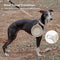 Collapsible Silicone Dog Bowl-Urban Roaming