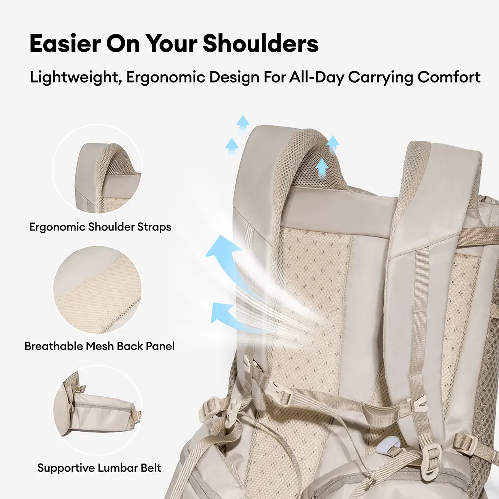 Dog Carrier Backpacks Dog Rucksack Dog Bike Carrier  - Urban Roaming