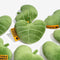 Plush Leaf-Shaped Squeaky Dog Toy - Funnyfuzzy SnugNest