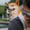 Dog Carrier Backpack-Urban Roaming