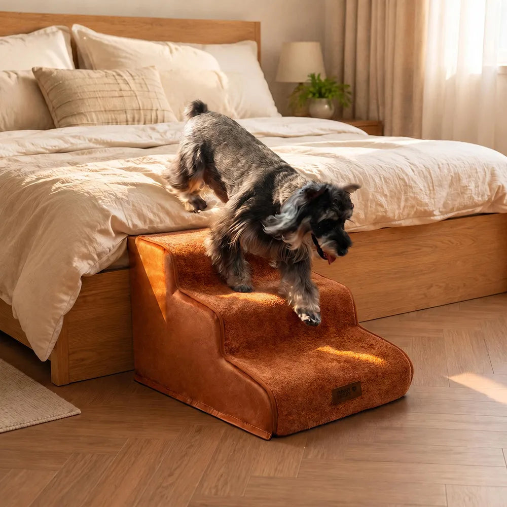 Plush Velvet 2-in-1 Foam Dog Stairs & Pet Mat for Bed