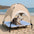 Breathable Cooling Elevated Dog Bed With Cooling Blanket