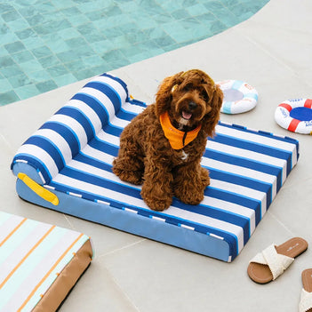 Cooling Orthopedic Dog Bed - Chill Nest