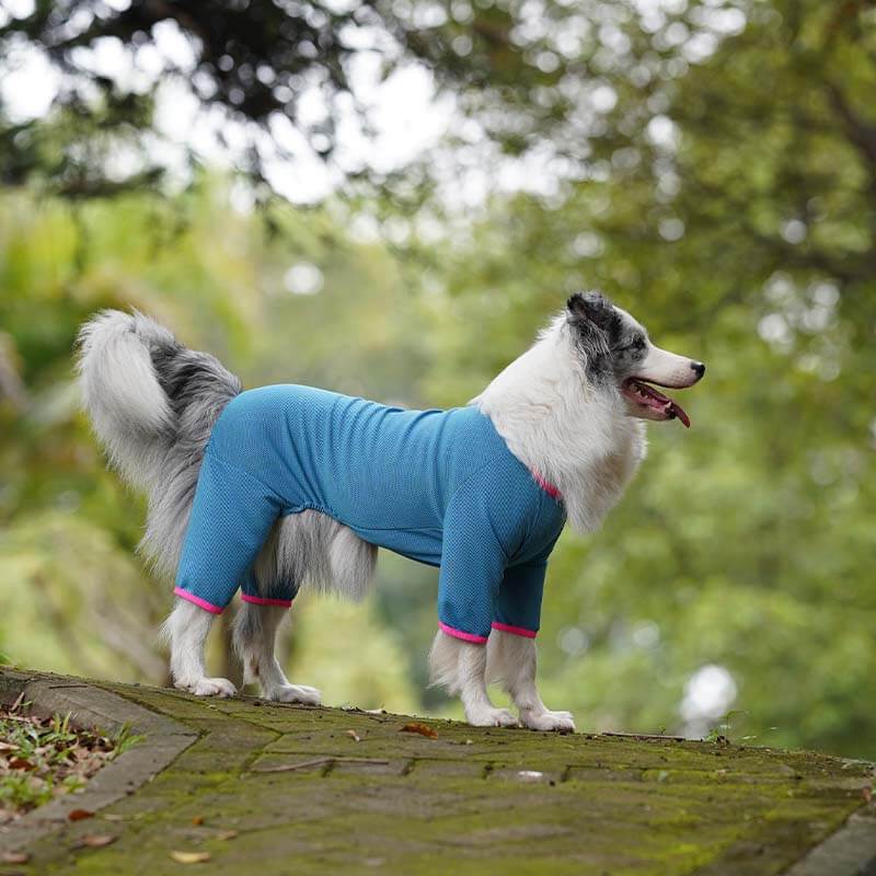 Camisas para cães de quatro patas de secagem rápida Colete de resfriamento para cães