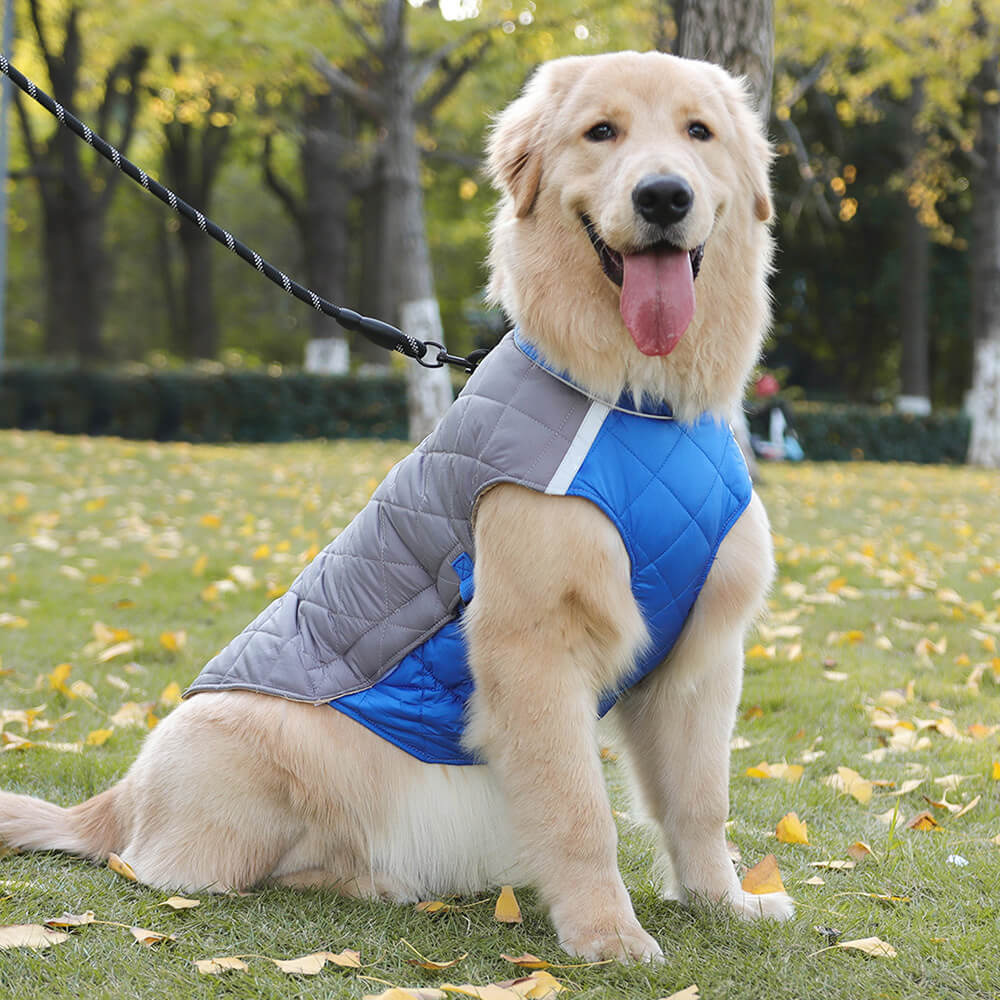 Veste matelassée réglable pour chien – Chaude et sûre pour les promenades hivernales