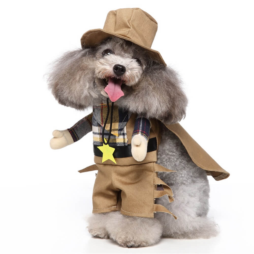 Adorable dog costumes best sale