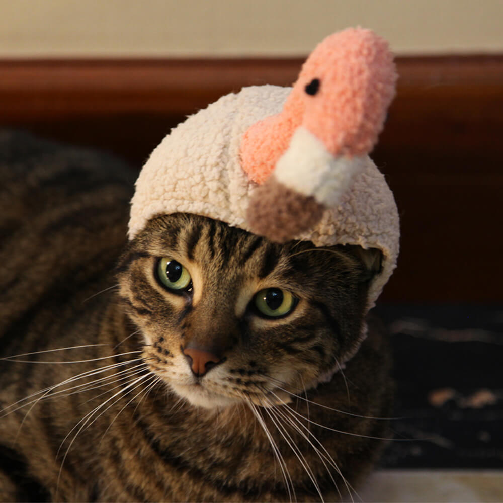 Sombrero para mascota disfraz de Halloween de murciélago unicornio flamenco