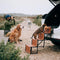 Foldable Dog Stairs for Car with Wide Non-Slip Steps - LuxeNest