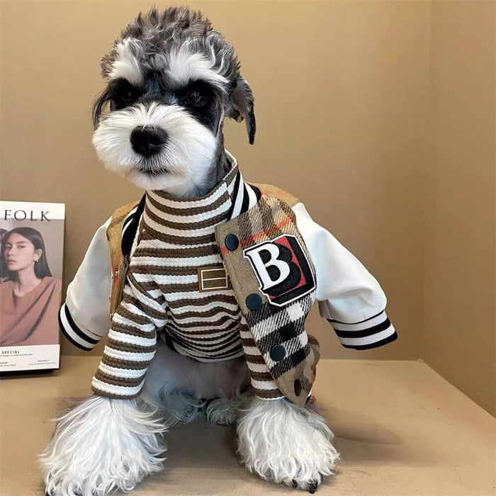 SMALL DOG - Blue Baseball Jacket