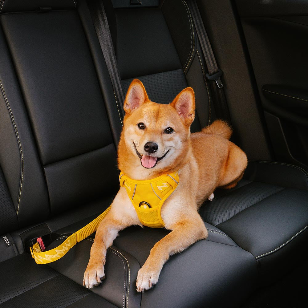 Buffer ajustable Cool Dog Accesorios cinturón de seguridad de coche