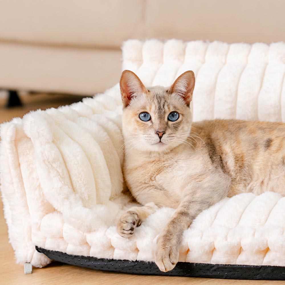 Washable Calming Soft Pillow Bolster Cat Bed-Snoozy Dream