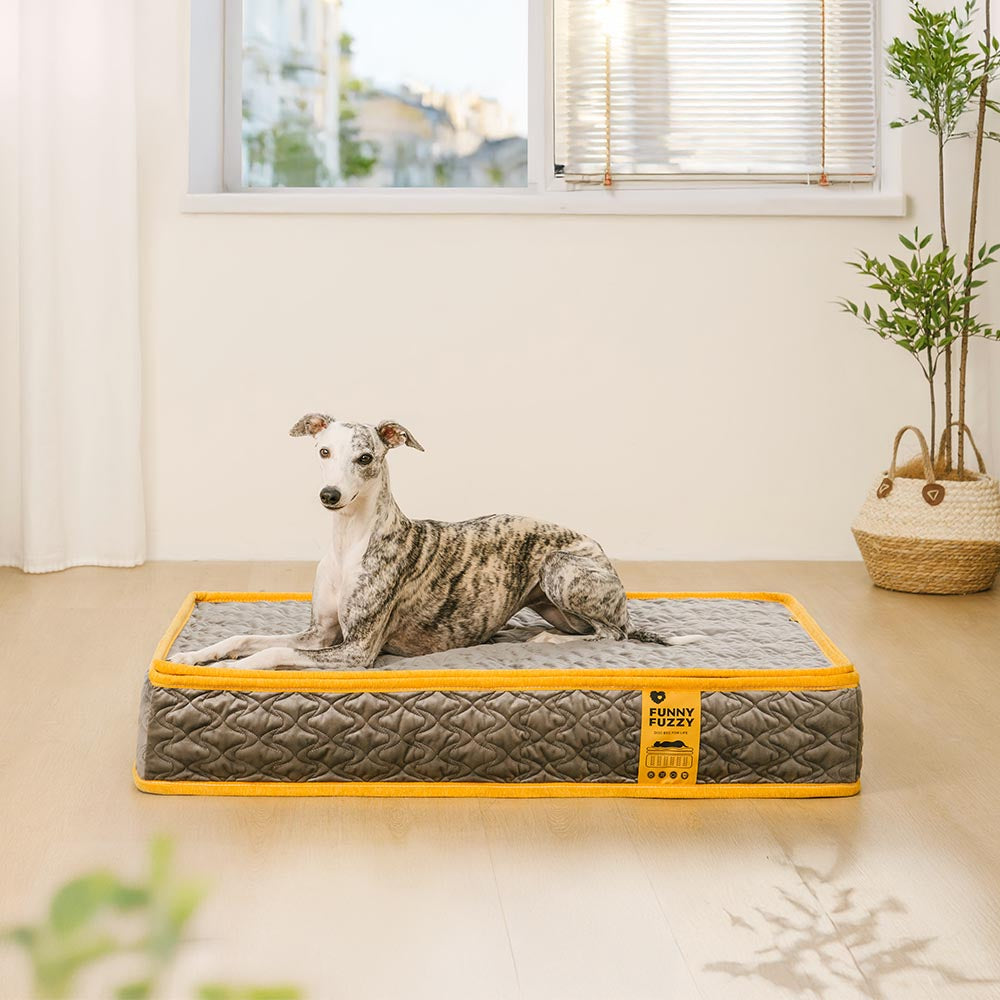 Lit orthopédique pour chien humain à ressorts internes de qualité humaine - Everdream