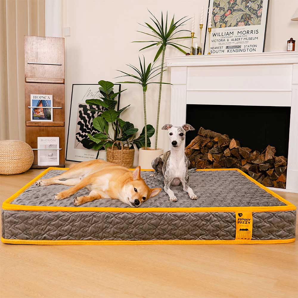 Hooman Innerspring Coils Orthopedic Human Dog Bed - Everdream