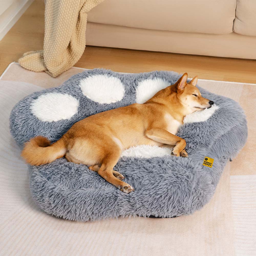 Buy Medium Dog Beds for Optimal Comfort FunnyFuzz Page 2