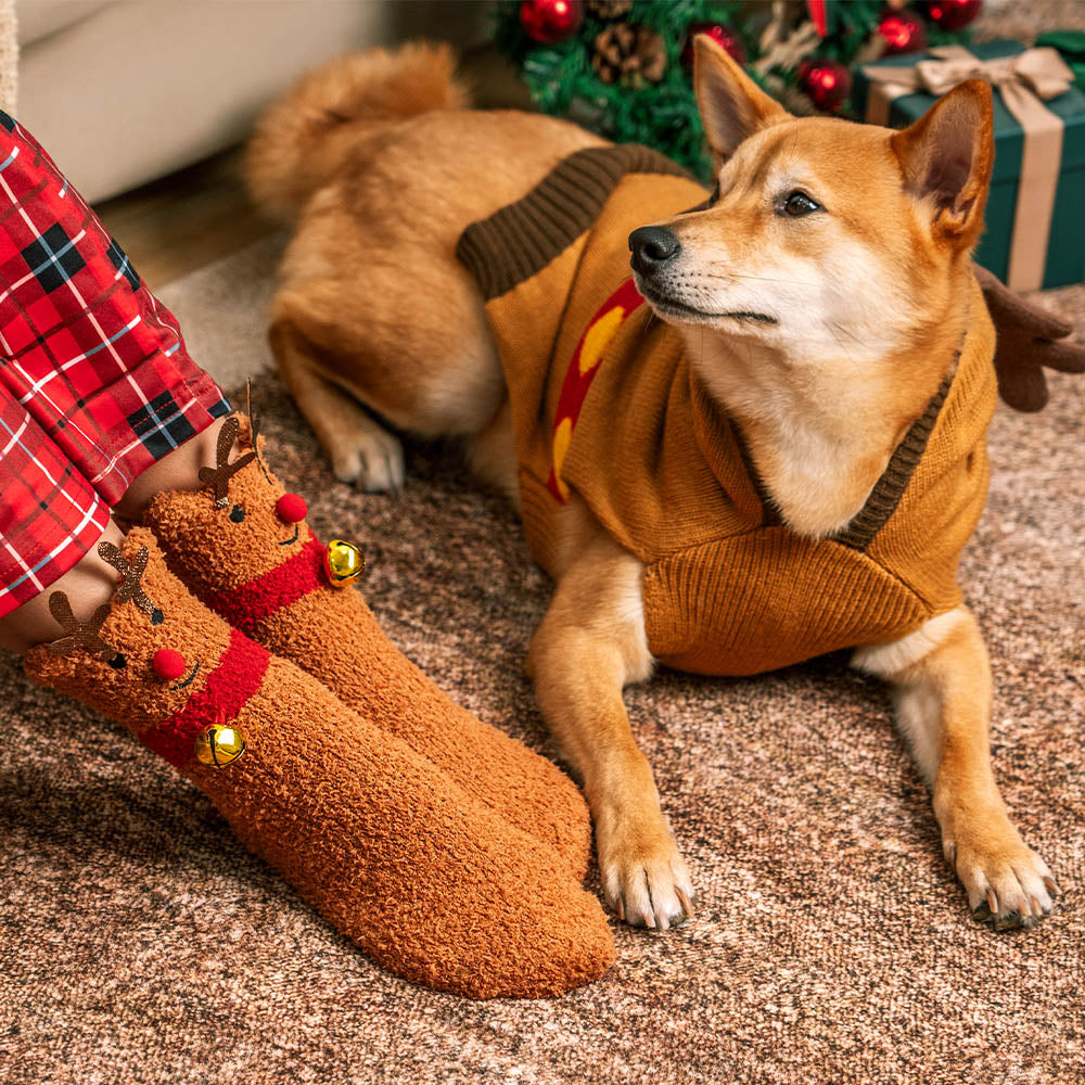 Pull de noël à col roulé pour chien, épais et chaud, chaussettes assorties pour animal de compagnie et propriétaire