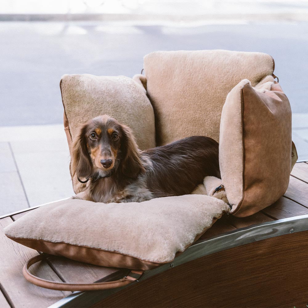 Large Fluffy Warmth Safe Non-Slip Dog Carrier Booster Car Seat- Ride and Rover