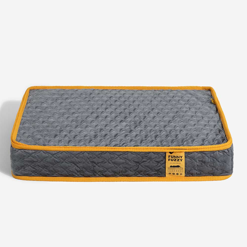 Hooman Innerspring Coils Orthopedic Human Dog Bed - Everdream