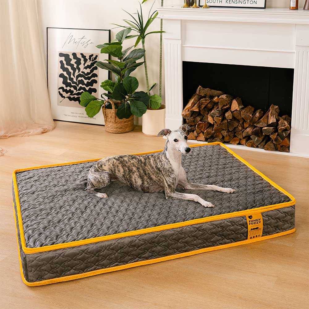 Hooman Innerspring Coils Orthopedic Human Dog Bed - Everdream